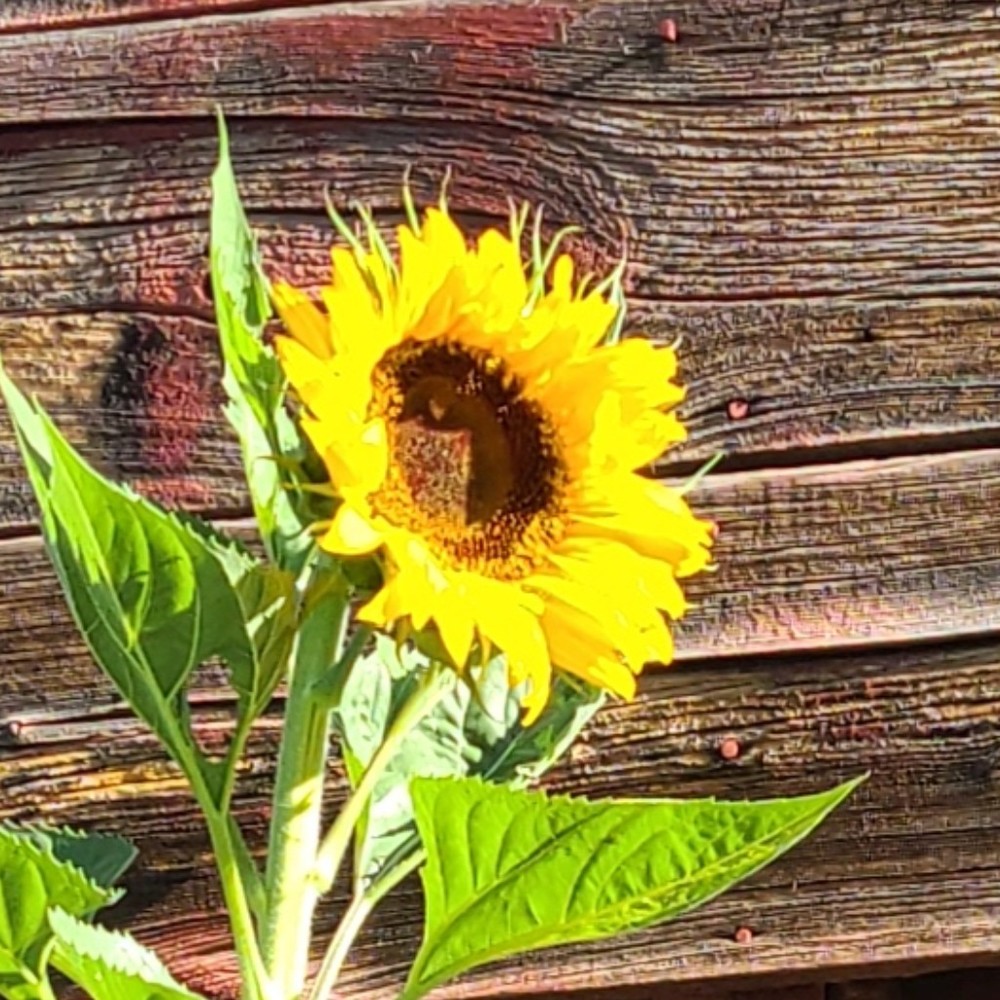 Meet your Posher, Posh